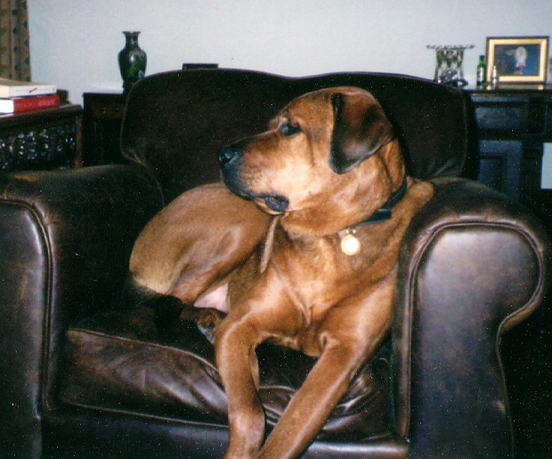 Claude's Chair